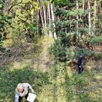 Грибники :: Валерий Судачок