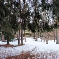 Прогулка в Нарва-Йыэсу :: Veera V