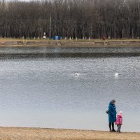 Городское водохранилище :: Игорь Сикорский