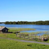 Русский Север :: Любовь Сахарова