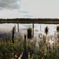 Панорама :: Олег Денисов