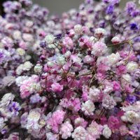 Букет на 8 марта :: Наталья (ShadeNataly) Мельник