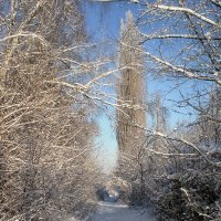 Прогулка городом :: Роман Савоцкий Прогулка городом :: Роман Савоцкий