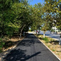 Керчь. Аллея улицы Горького летом. :: Пётр Чернега