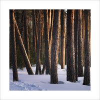 * :: Александр Иванов