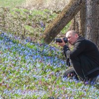 Весны цветение ... :: Ravile 