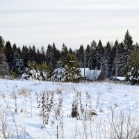 Посёлок Чернушка. :: ВикТор Быстров