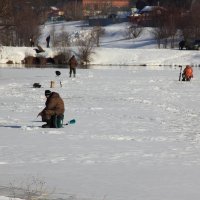 Ни хвоста, ни чешуи... :: Евгений Корьевщиков