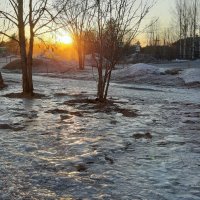 Ледниковый период :: Ольга 