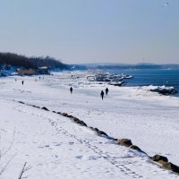 Февраль, Балтийское море и побережье, Калининградская область :: Рита Симонова