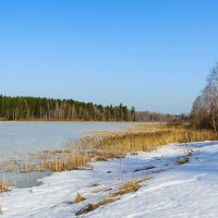 Весна в марте. :: Милешкин Владимир Алексеевич 