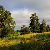На рассвете. :: Владимир Гришин