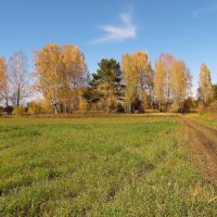 На арена - осень ! :: nadyasilyuk Вознюк