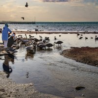 На берегу :: Анатолий Чикчирный