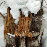 Языческий бог. :: Радмир Арсеньев