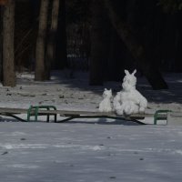 Зимний дуэт. :: Сергей Сергеев