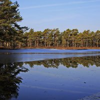 Признаки весны .. :: Татьян@ Ивановна