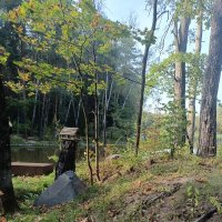 осенний парк :: Галина R...