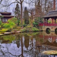 Японский садик :: Андрей K.