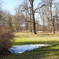 Парк Александрия :: Наталья Герасимова