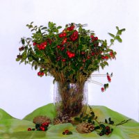 Ягодный букет. :: nadyasilyuk Вознюк