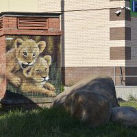 Львята :: Валерий Пославский