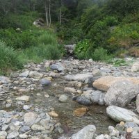 А  по камушкам речка  бежит :: ИРЭН@ .