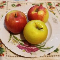 ***** :: Елена Семигина