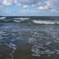 Над морем .... :: Алёна Савина