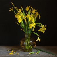 С ирисами :: Нина Кутина