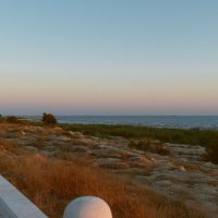 *** :: Елена Алексеева