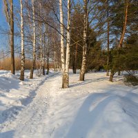 Пейзаж ранней весны :: Александр Синдерёв