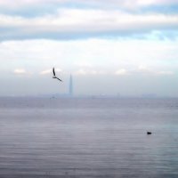 Лахта Центр :: Евгений Екимов