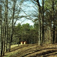 Солнечный день в Ботаническом саду :: Aida10 