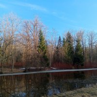 Весна :: Сапсан 