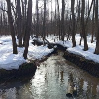 Март в Измайловском парке :: Андрей Лукьянов