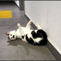 Встреча в холле. :: Ольга Довженко