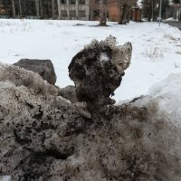 Забавы природы ) :: Veera V