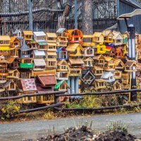 фавелы :: Аркадий Лаптенко