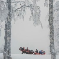 Вот мчится тройка :: Лариса С.