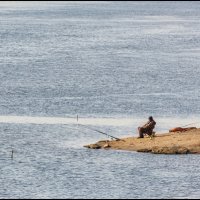 Рыбак на песчанной косе. :: Михаил Кобзев