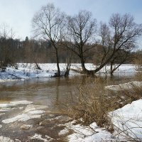 Ледоход на Протве :: Сергей Курников