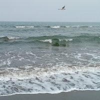 Охотское море волнуется :: ИРЭН@ .