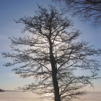 *** :: Сергей Григорьев