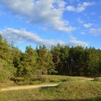 **** :: Виктор 