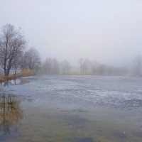 Туман и немного льда в холодной воде... :: Лия ☼