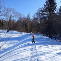 Прогулка у пруда. Март. :: Алена 