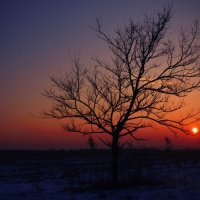 Забытое :: Svetl@n@ Prolubshchikov@ Забытое :: Svetl@n@ Prolubshchikov@