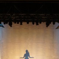 ГУБЕРНАТОР / Спектакль Андрея Могучего по рассказу Леонида Андреева :: zavitok *