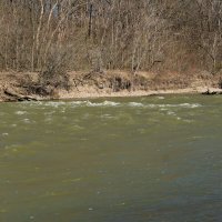Река Кубань :: Игорь Сикорский